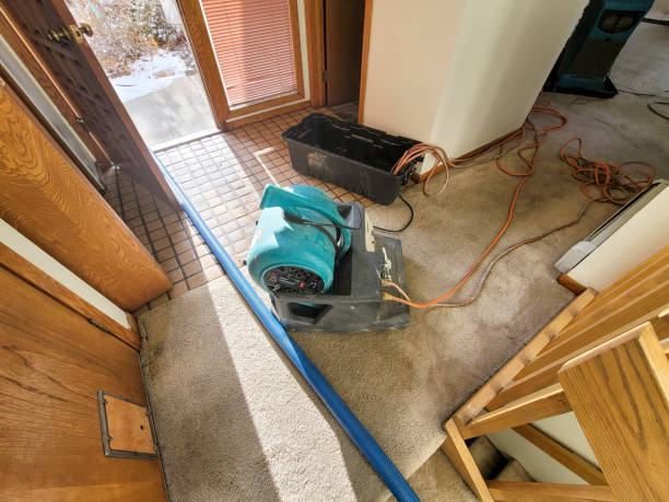 Best Fire Damage Restoration  in Atkins, VA